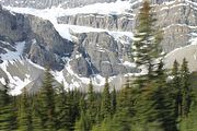41 - Bow Lake  - IMG_0881